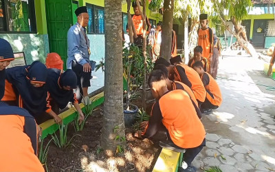 Hari Gerakan Sejuta Pohon